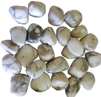 AGGTHOWWB-1.jpg